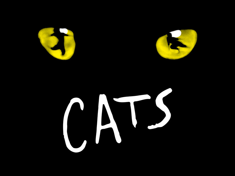 Cats at Durham Performing Arts Center